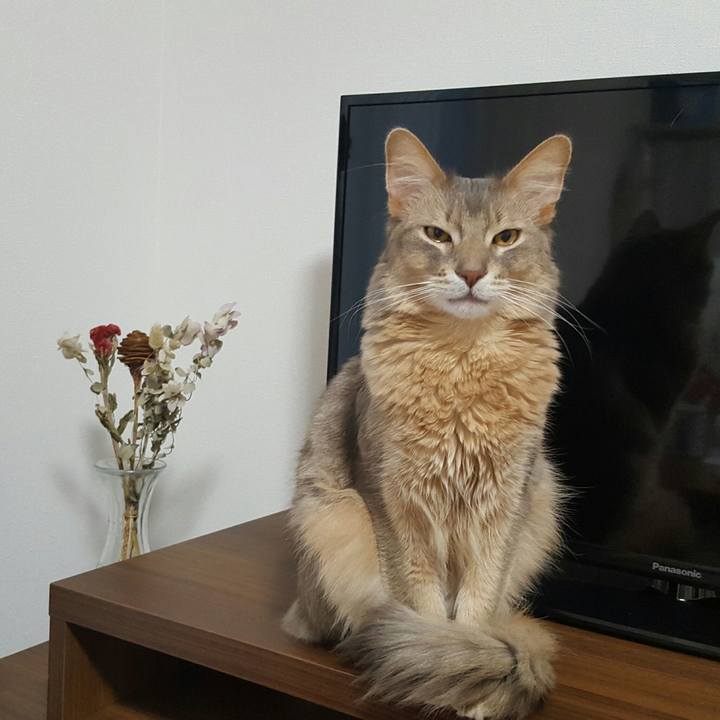 2607063a 05bb 479f abd2 d11317bd0437