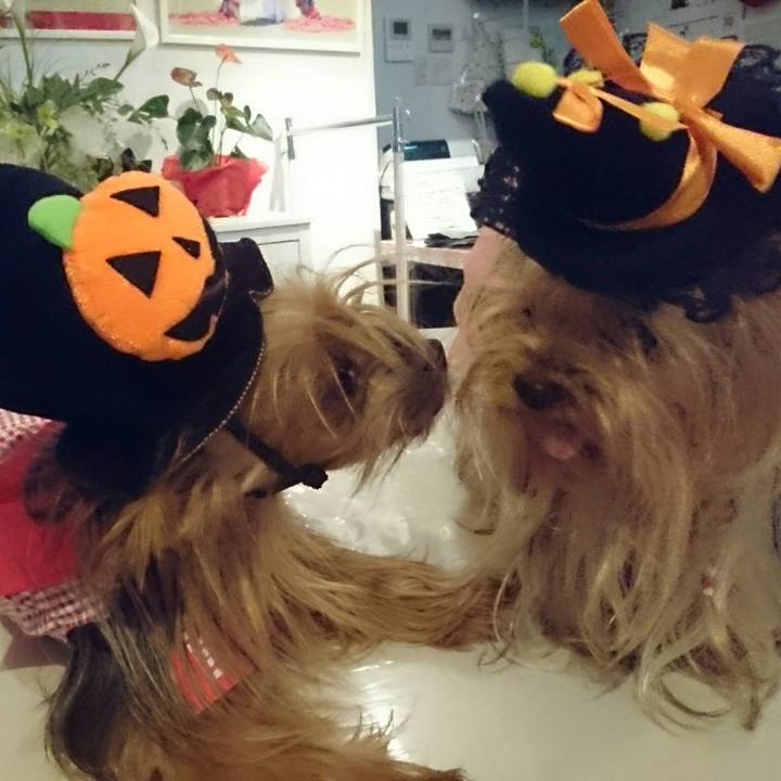 26070780 61d9 4958 b478 821326d50866