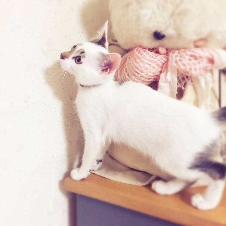 26078dec a583 40d3 bf99 eadc75301b33