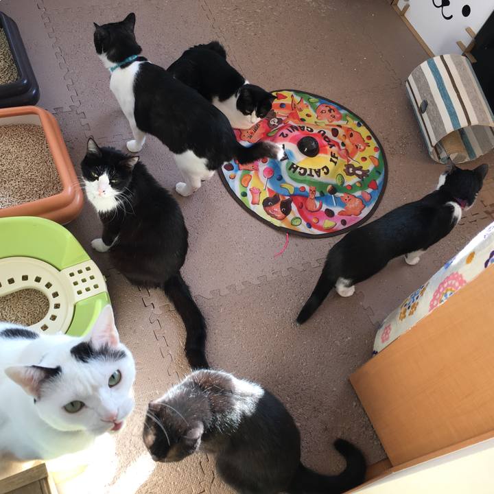 26082b23 0d96 4af8 a8da c853f17a9743