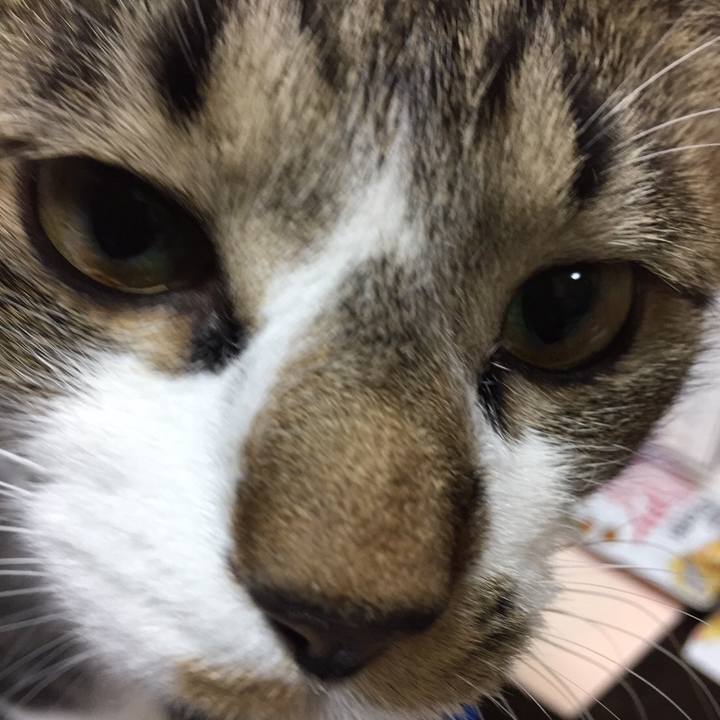 26084a64 e40b 499e b1c6 4edf3d8e8115