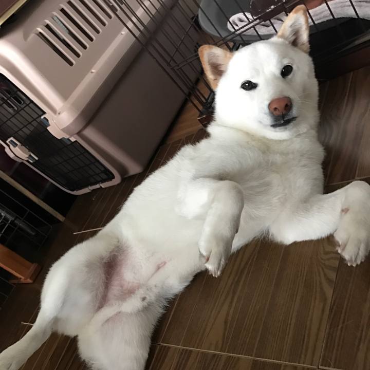 260854f6 0ef3 49a9 84bb 9154cf7076bd