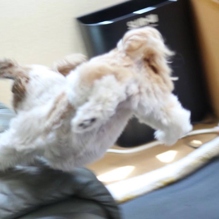 260856ec f619 46eb 94e9 5a1e322a51c0