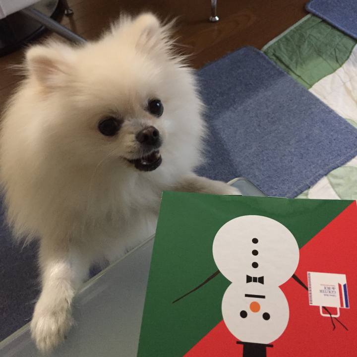 2608cf1b 9686 467f b727 3bc665d9e656