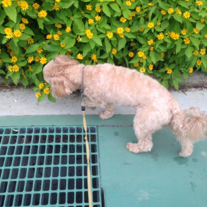 2608f883 23eb 47b9 8f7c 92eb71622bd1