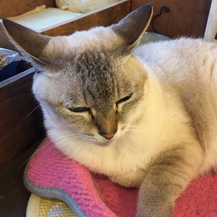 26099a2c f6f8 40c0 9bb4 f6685bee9d5f