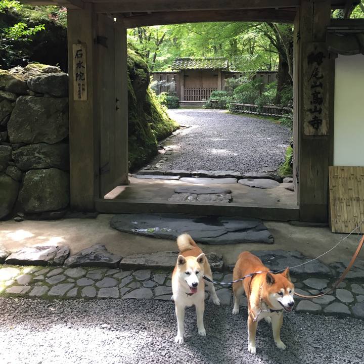 2609eb57 2a10 478b adbd a5d628e3e2c1