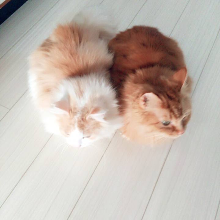 260a2642 6cd9 48a9 8264 6e79bda34695