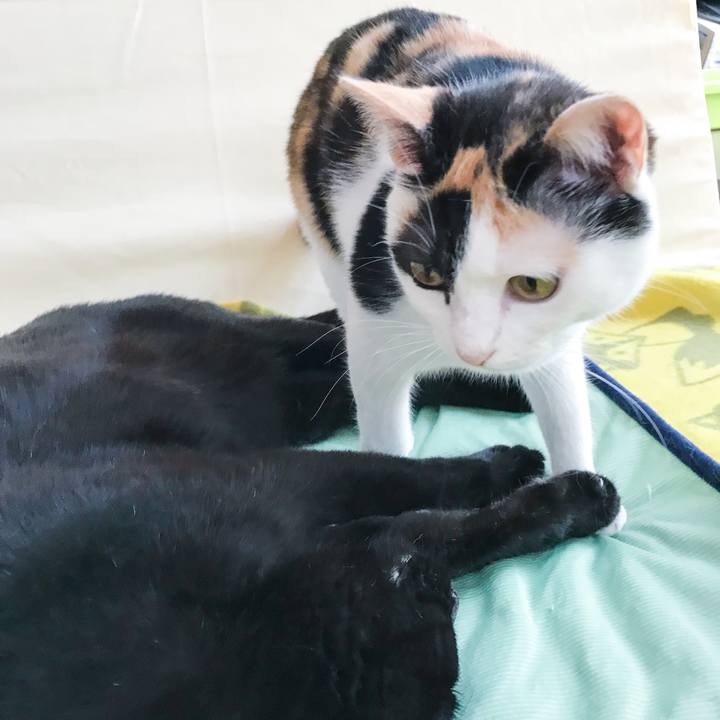 260ac69a aaf1 4941 9909 3bdb7bd55a52