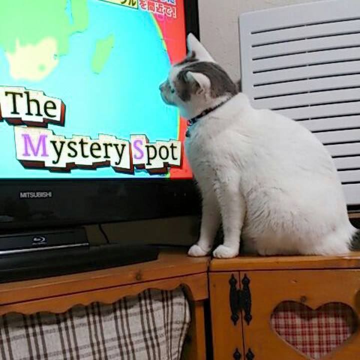 260b630d 1638 42e0 a3f6 72b50d967c02