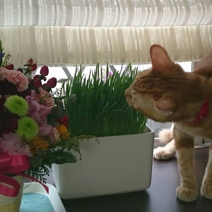 260bb591 ac3a 45ed 911b a867051d14eb