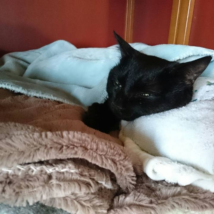 260bb918 d695 4c51 ab00 0797b0ef0980