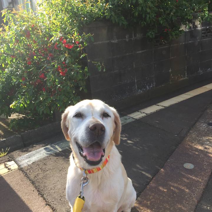 260c266e a27a 44d5 b622 0b75b1eadfba