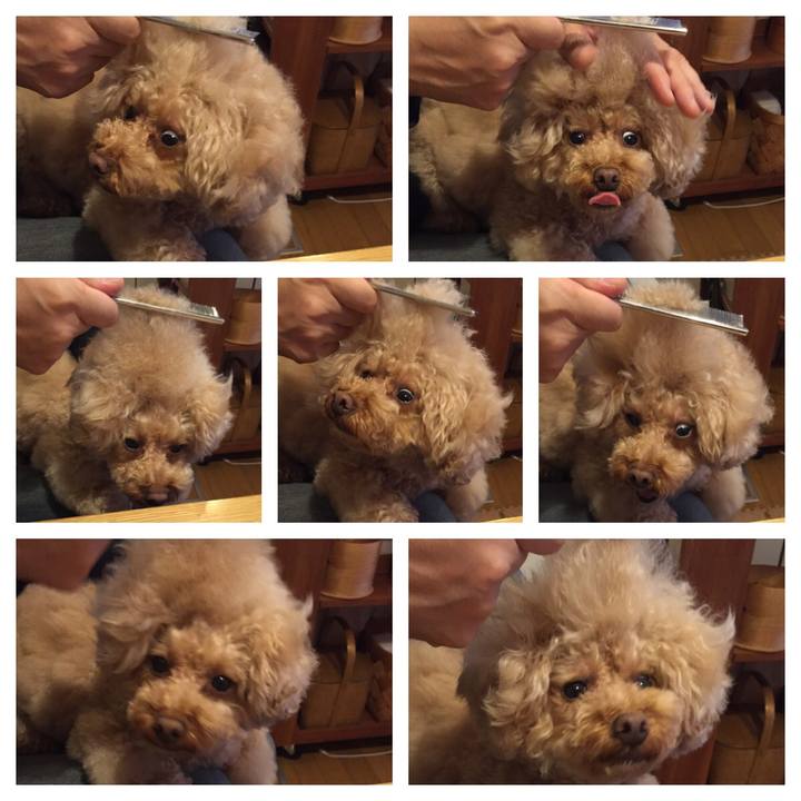 260d2575 1510 4a45 8ae9 a6bec47c7d26