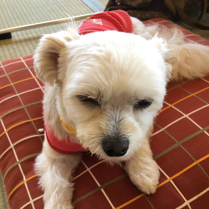 260d36d5 800f 49f3 b5ff 4344b4e9c33f