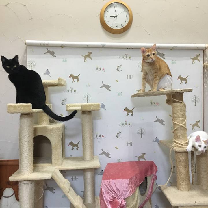 260d8c8e cf75 4edc 825f 153a9b3d495c