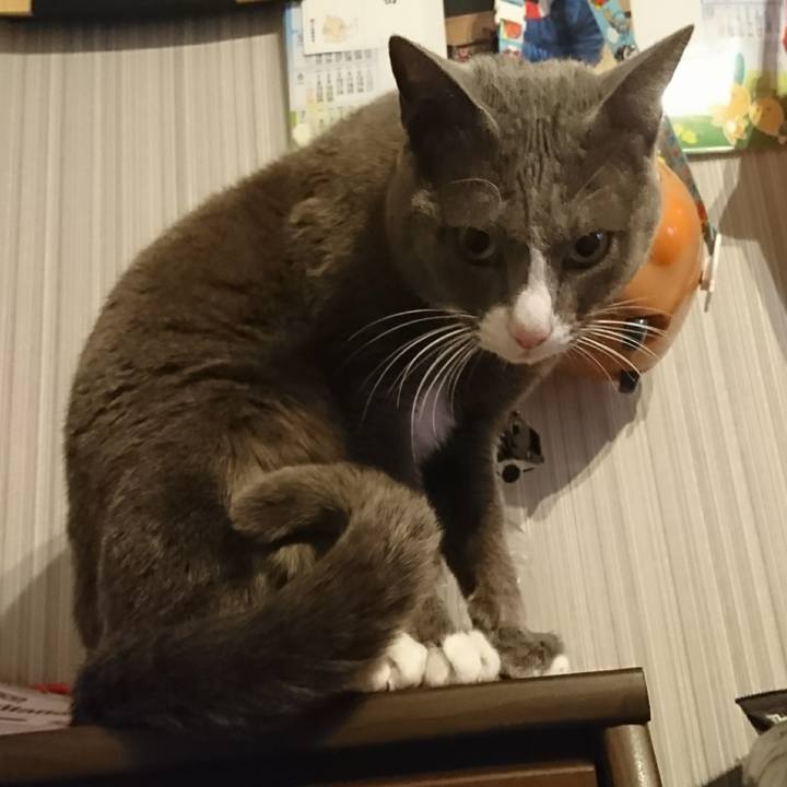 260e3339 1c16 4905 8e92 131695a46165