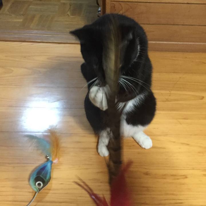 260e83f9 9203 49f3 b55d c9602ebe48d4