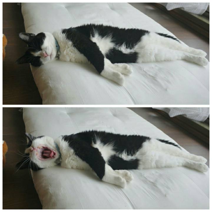 260e8901 c181 4fb7 9a8c 112026c62cef