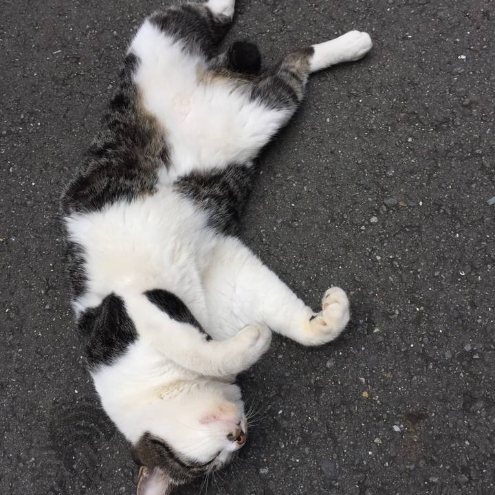 260ed347 6794 4b9c 8962 8de30b8c8e5a