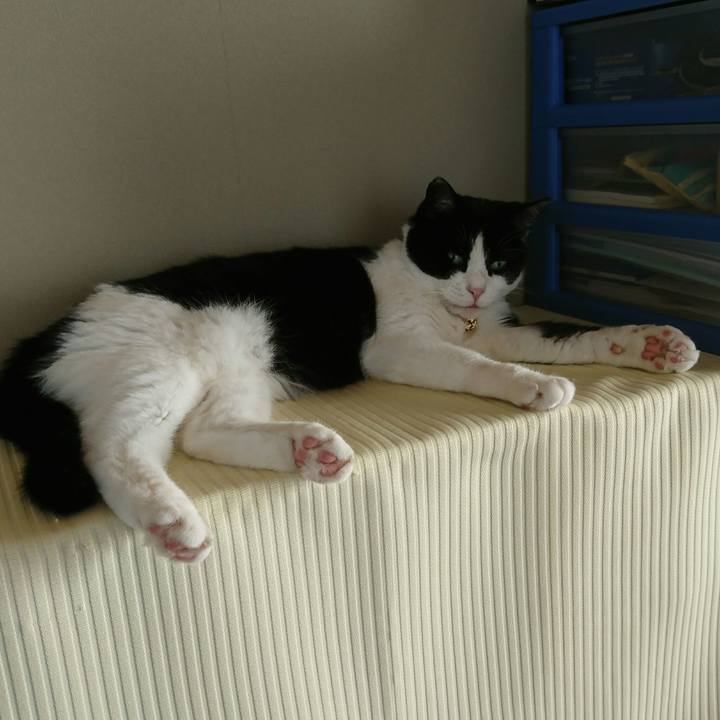 260eede6 0852 4629 bef8 19bd20275c53