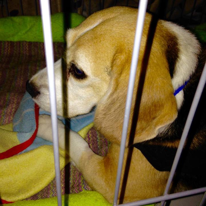 260f39ea 3295 4346 b4e9 3c7a4b1aa782