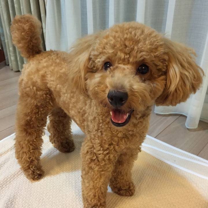 260fee2d d482 4b04 a882 434631a76b36