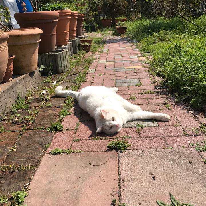 26102185 eff5 411c af5a cb7c588f61dd