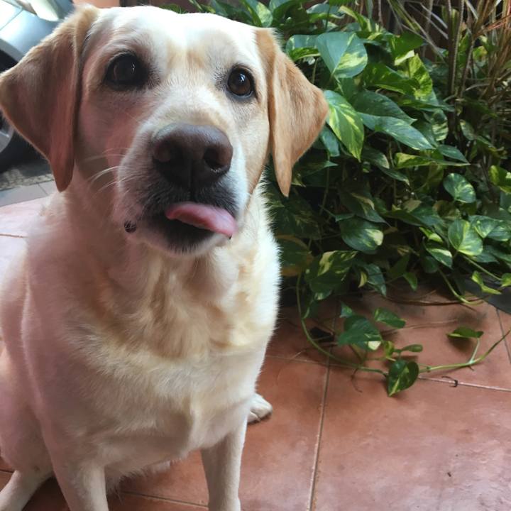 2611135f 2d36 4b57 aa90 9a71cc92eda0