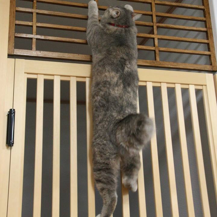 26119be1 e2fc 4299 b0fc a97bd9b30da5