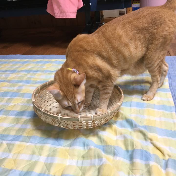 26119dd8 1ed9 4ed2 bd7d 94df6b4ced91