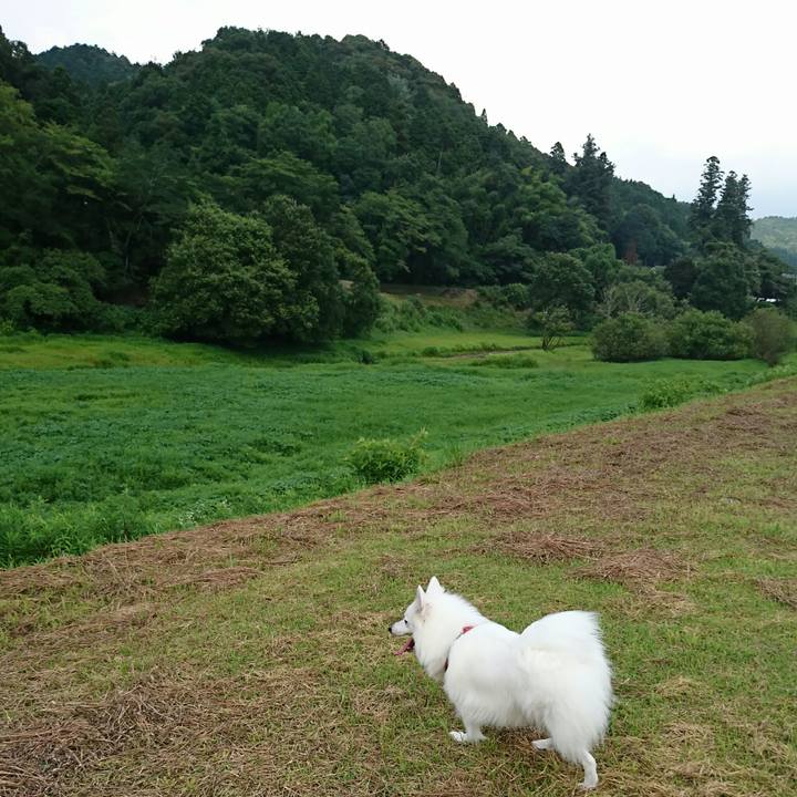 2612b412 b53b 4b50 9678 31af48d73d6b