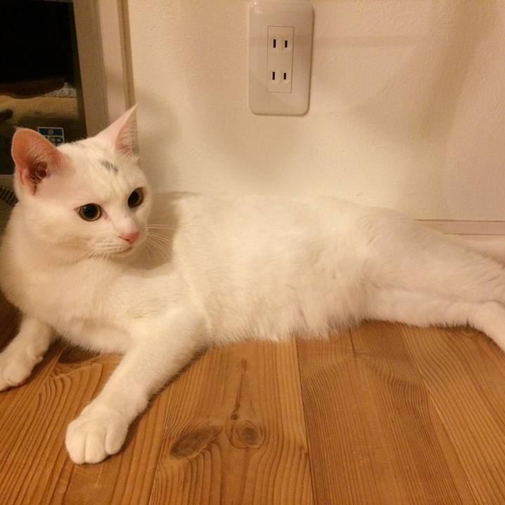 2613a02f e149 454d b89b cbf124b24ce9