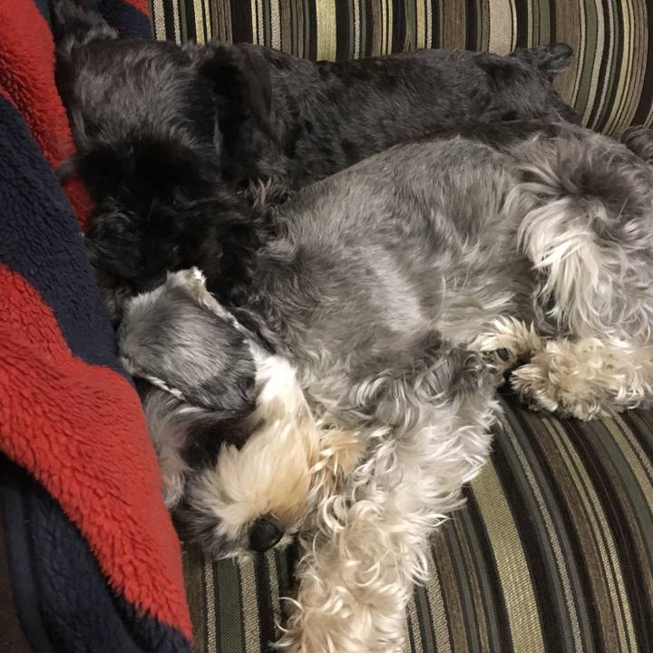 2614bbe7 3b8e 4685 9648 a686f960598d