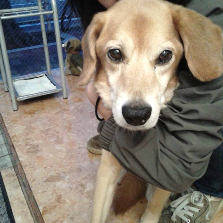 2614bd6e 5ae1 4a94 85f9 284471c6bf5a