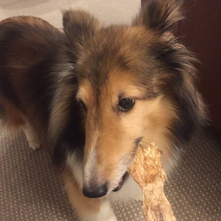 261563a2 bc8e 4573 be6a 5c69d79f929c