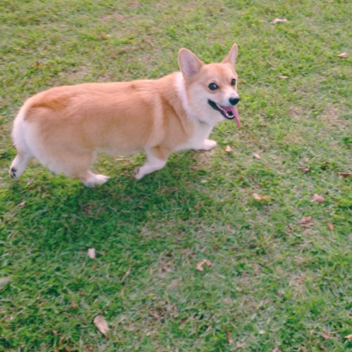 26171cae ba82 450f abb9 e5a1405d94d2