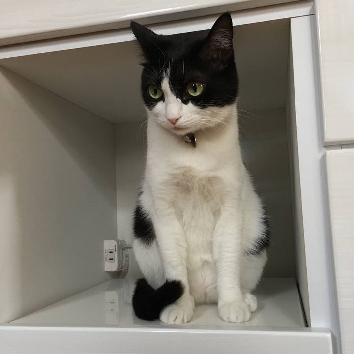 2617705c b884 4f2c b3a3 d3d5290e3484