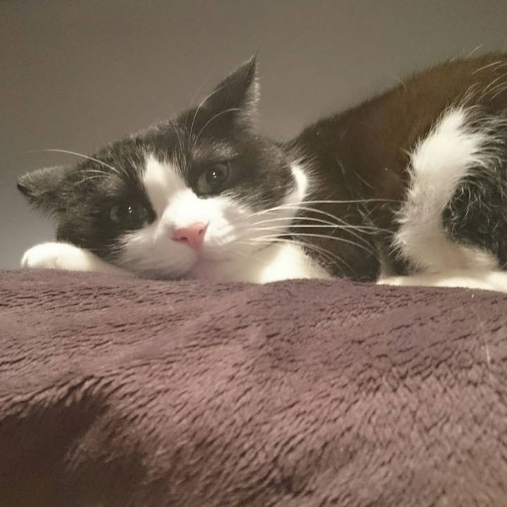 2617a797 81b4 4cbf a39c 22bc34ce8de9