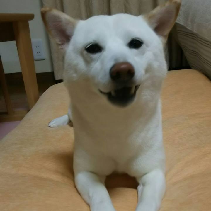 26195404 16b7 4515 8b7d 798abec8e393