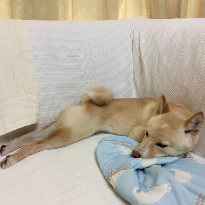 2619942e 9b63 4264 8df3 aec399ba892a