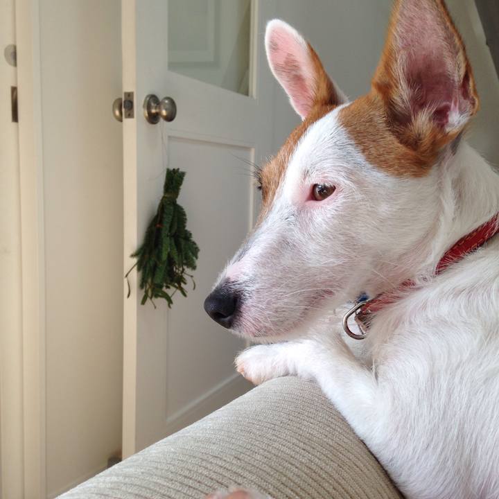 2619b106 2922 4a15 a796 a68ccdc5bd76