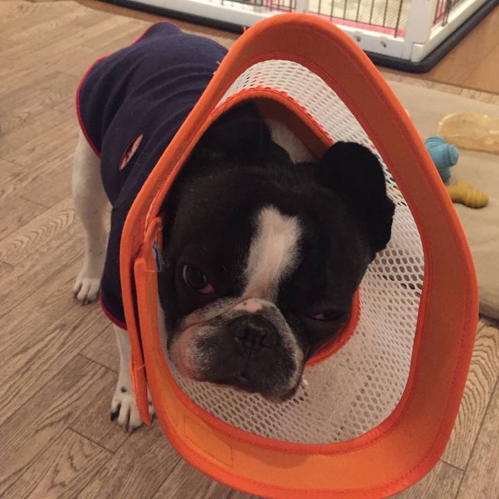 2619bfed d45e 473d 8170 e2623d0844b9