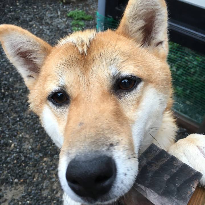 2619d66b b26b 4374 807e 4c265252e496