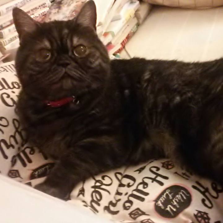 2619f0ac 2793 40bd b620 9f4b8baba52d