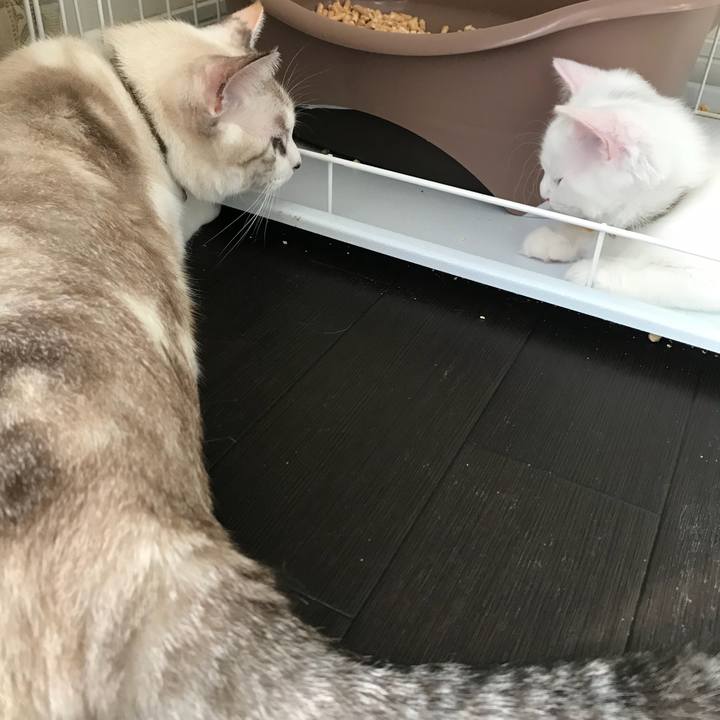 261abe81 2059 42a9 b878 38bbacae4a45