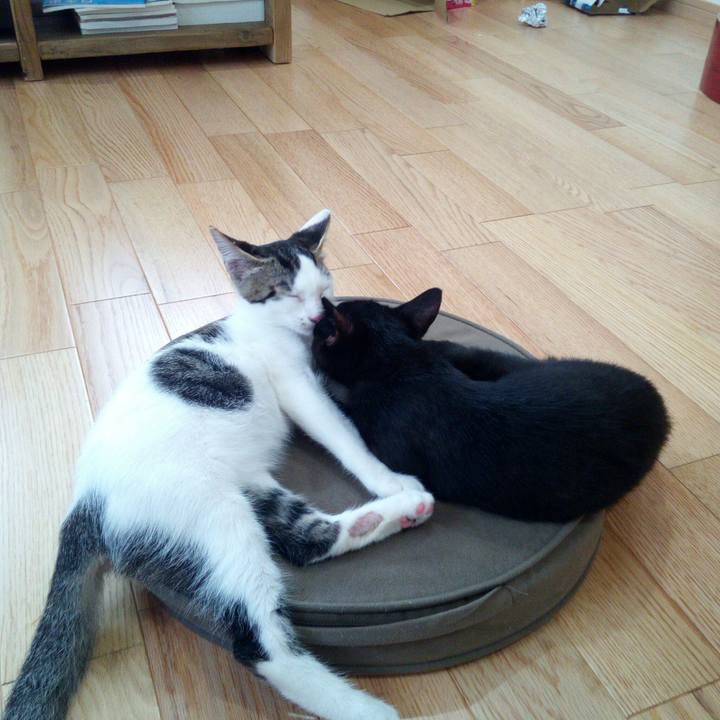 261b1536 799d 4d50 88d8 86009ebdcc75