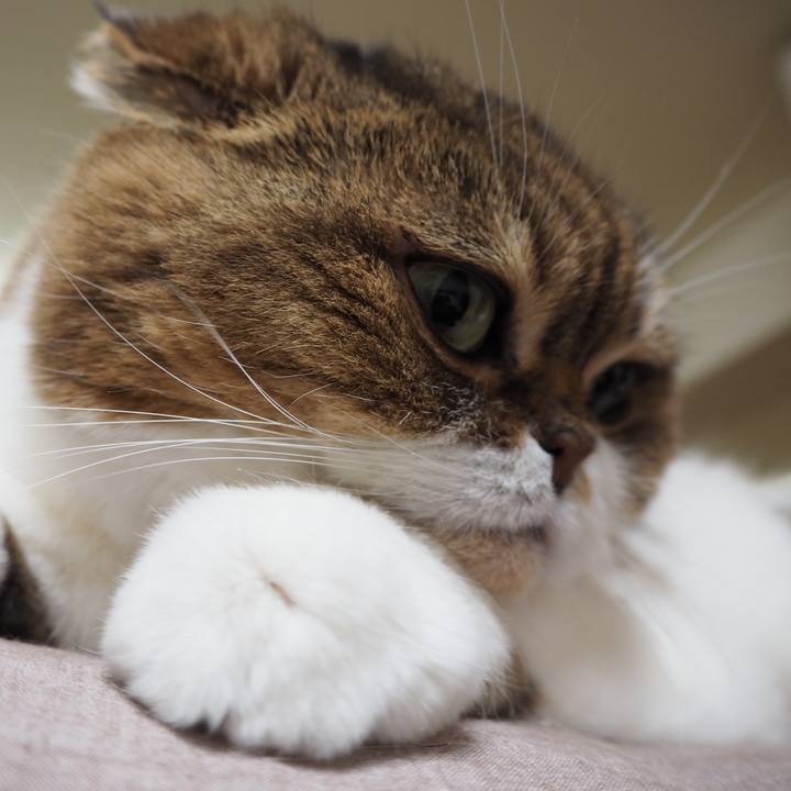 261b46bd a9f4 411b bc61 26b748a893fb