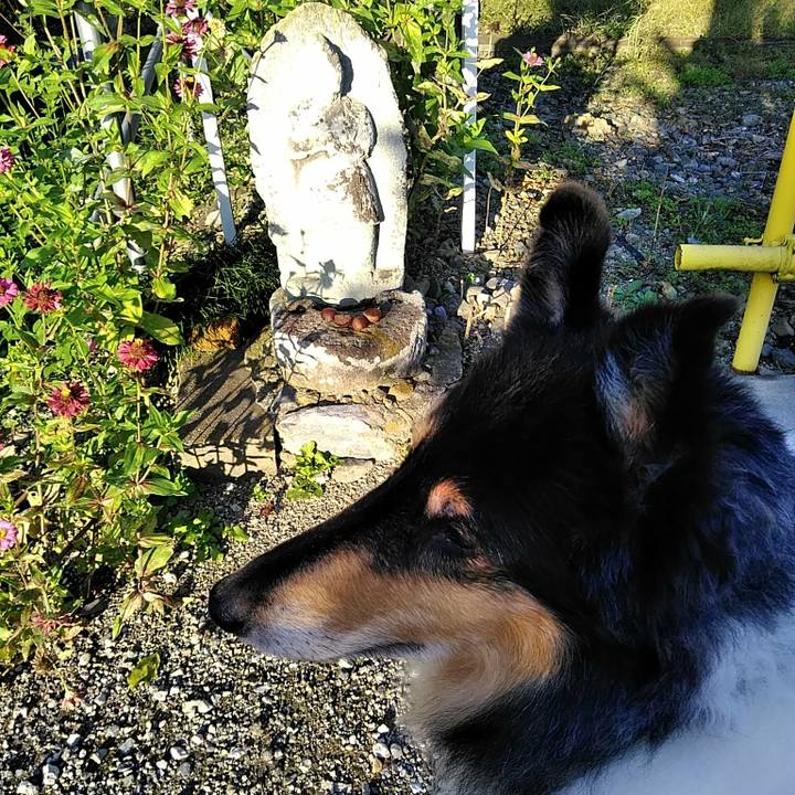 261c131d eca3 4ca6 856f bfc2831da69d