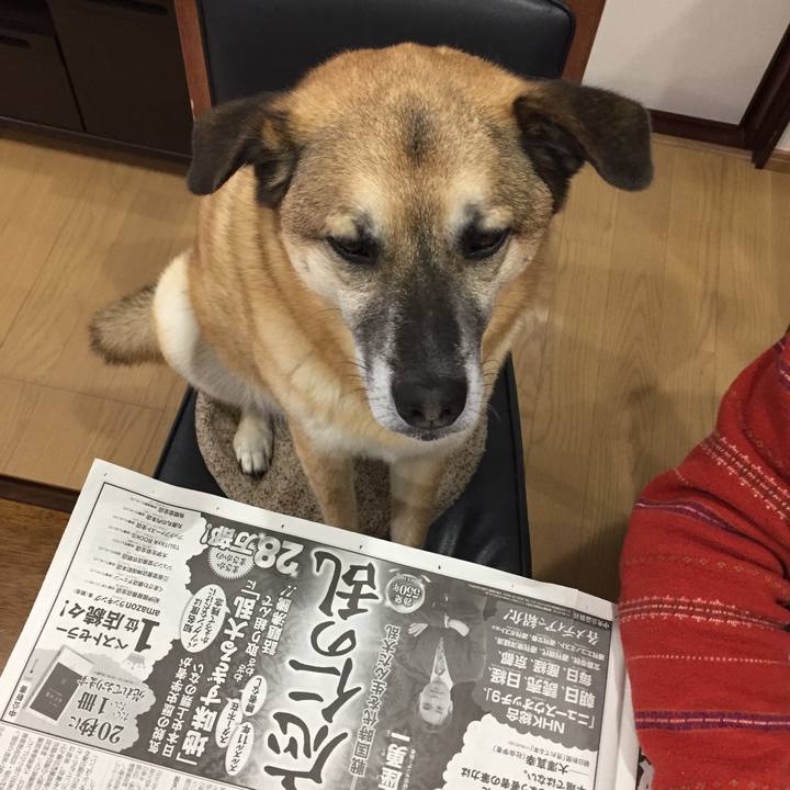 261c1d3a bd0b 4d41 bd97 dcb18583d73f